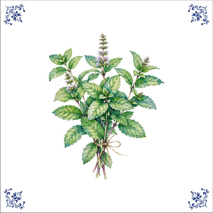Bouquet de menthe