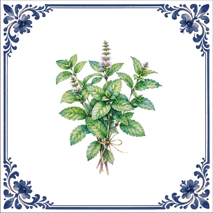 Bouquet de menthe