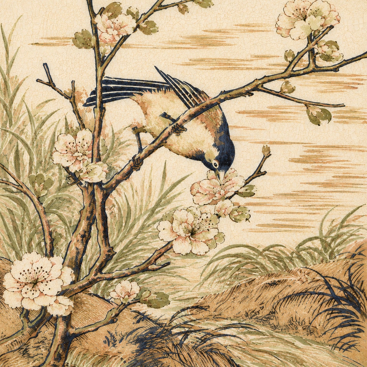 L'Oiseau des Vergers
