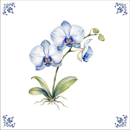 L'orchidée
