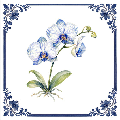 L'orchidée