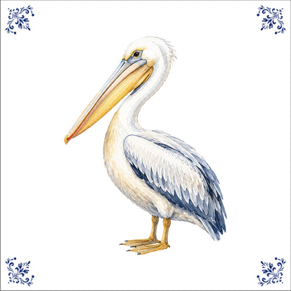 Le pélican de la cote