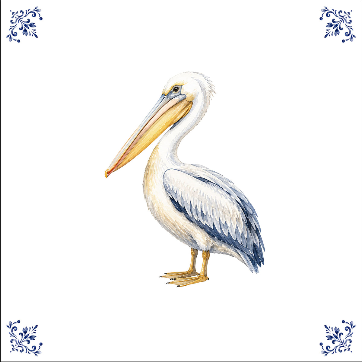 Le pélican de la cote