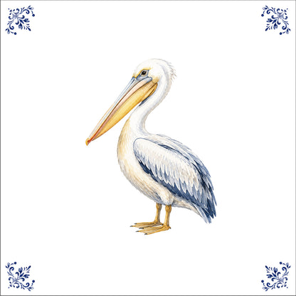 Le pélican de la cote